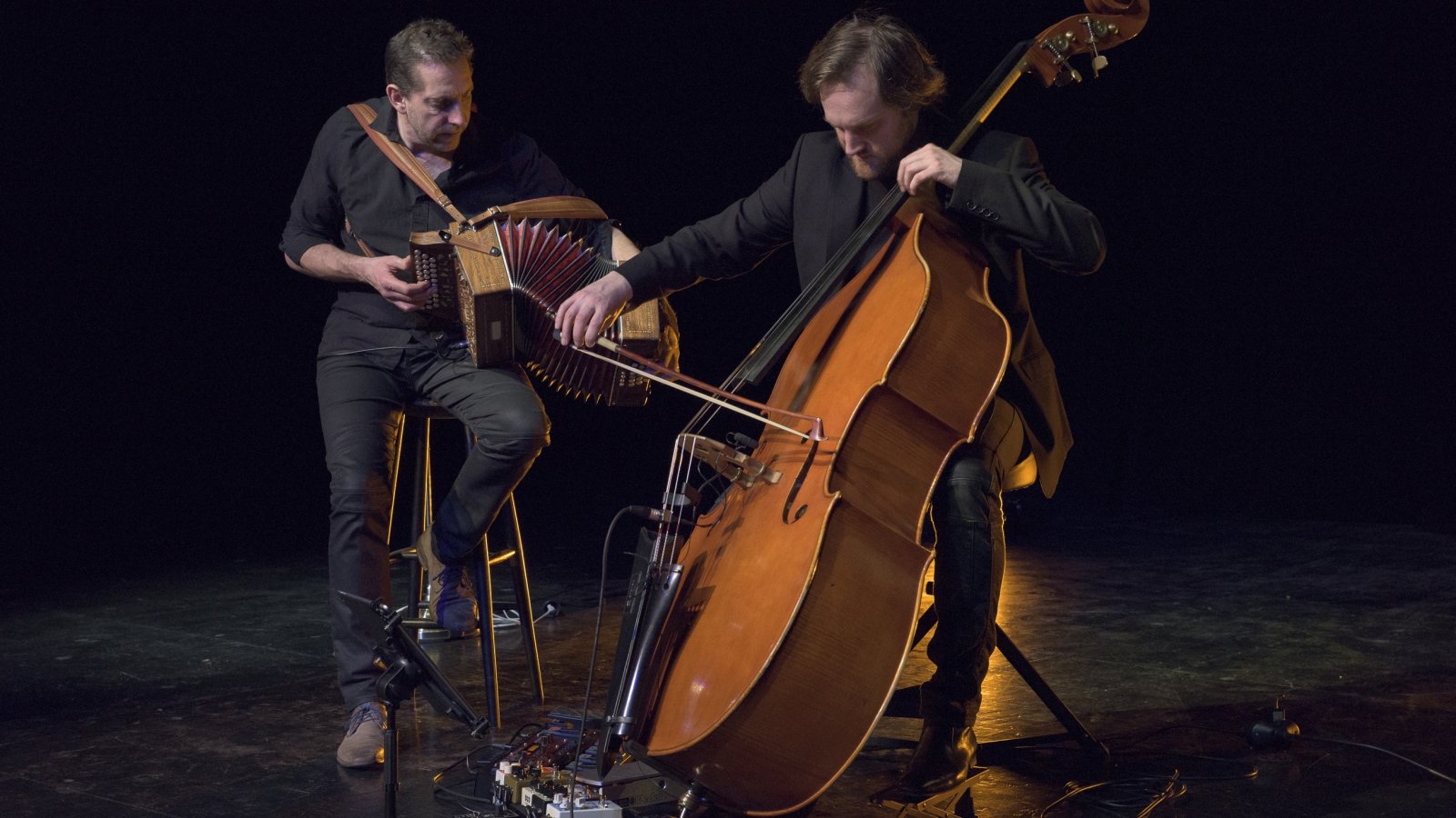 DYAD: Didier Laloy & Adrien Tyberghein