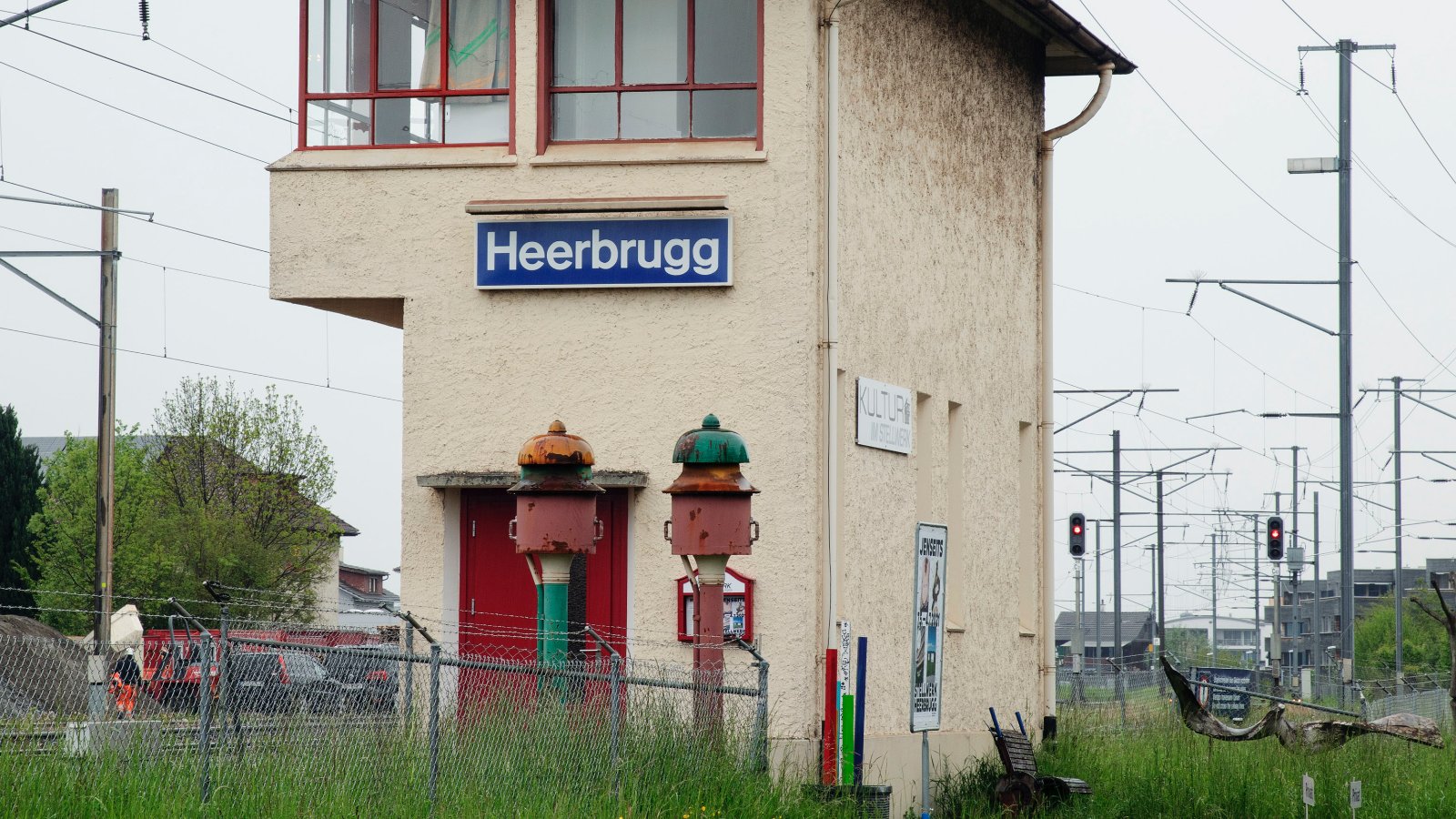 Wegwarte 001