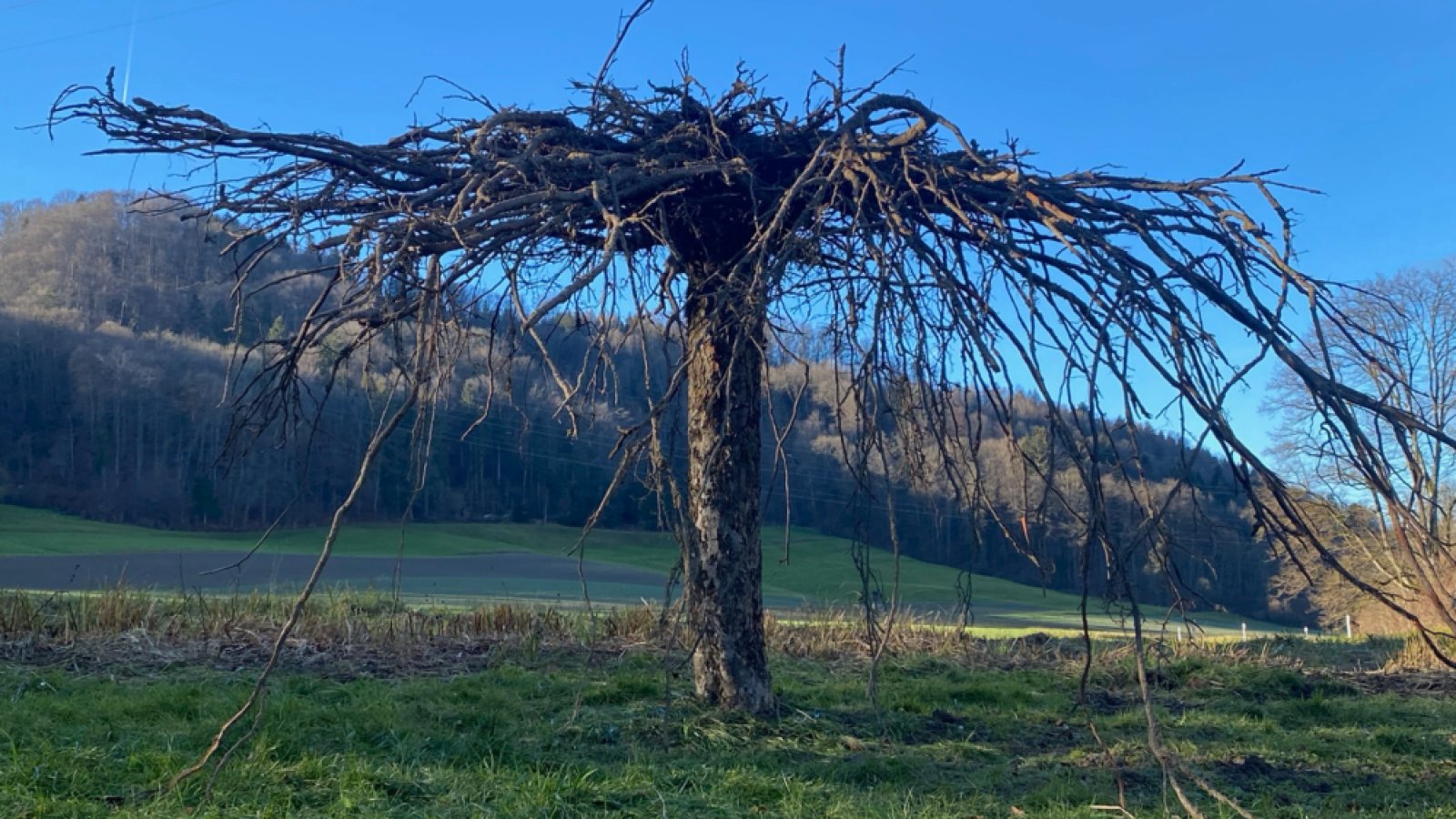 Back to the Roots – Künstler:innen Rundgang