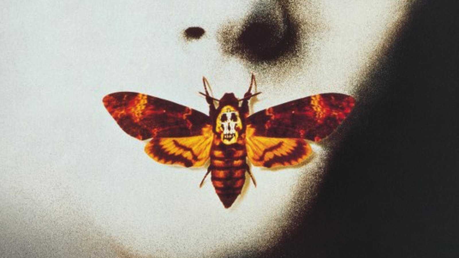 Das Schweigen der Lämmer