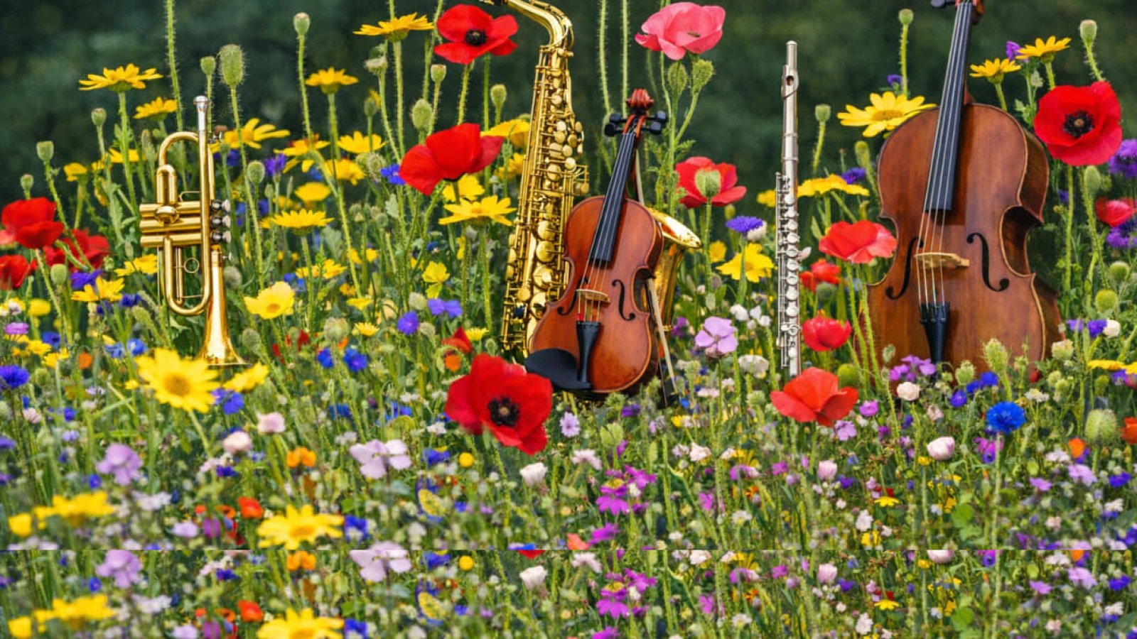 Serenade der Ensembles