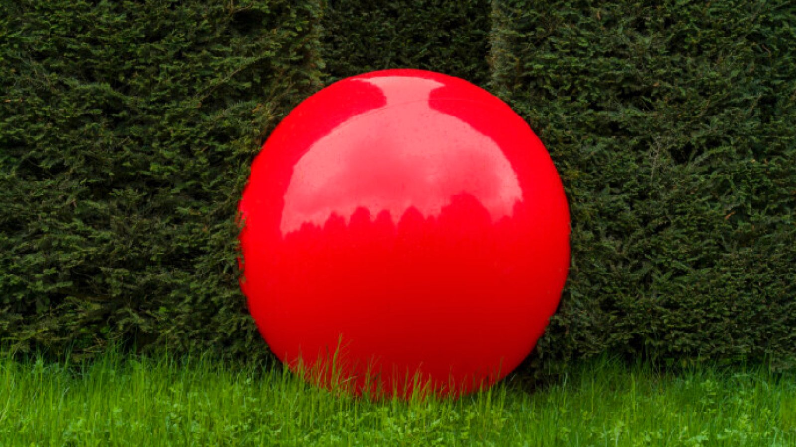 Andrin Winteler – Floating Point