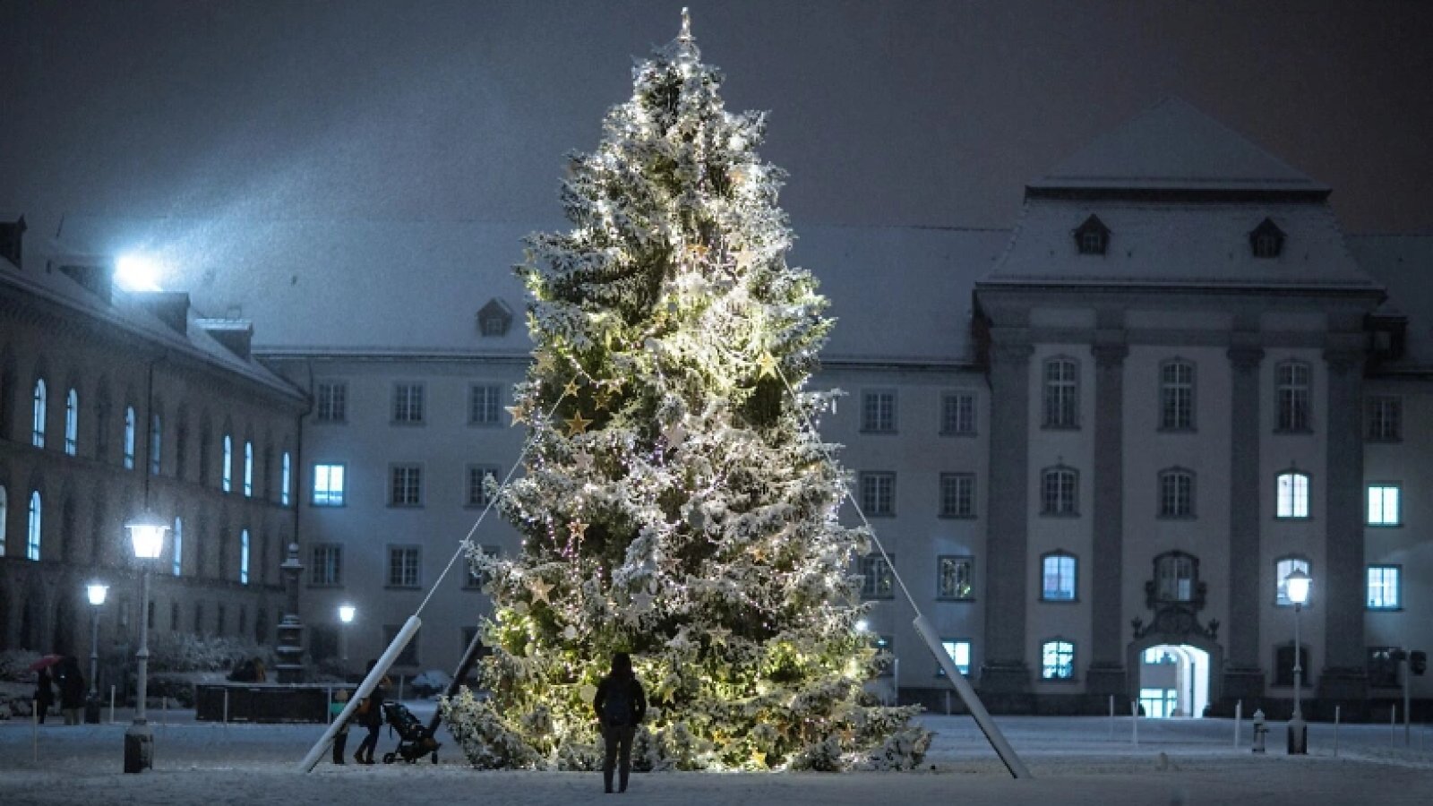 Die Weihnachtstanne kommt geflogen