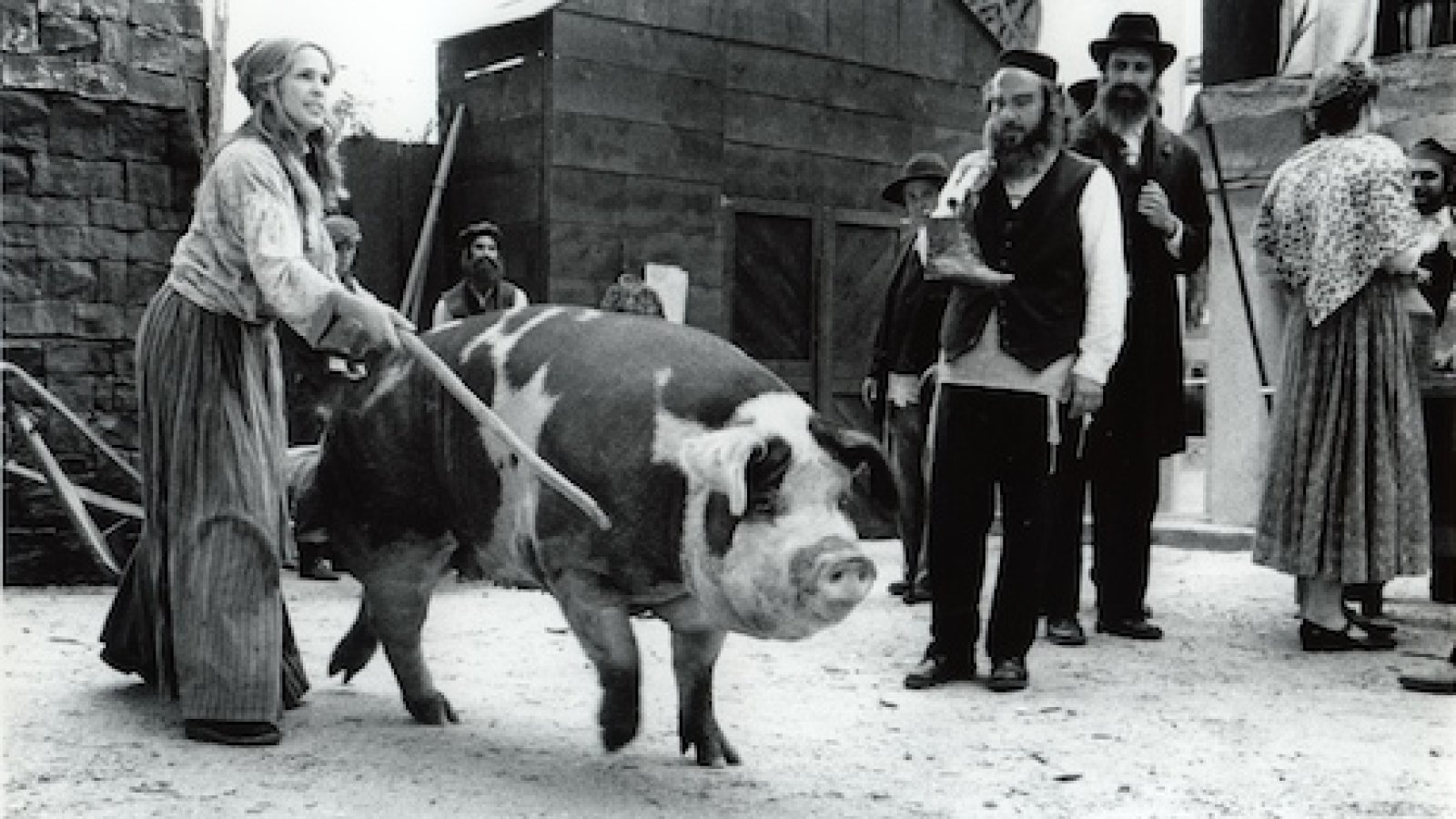 Skino im Kunstmuseum