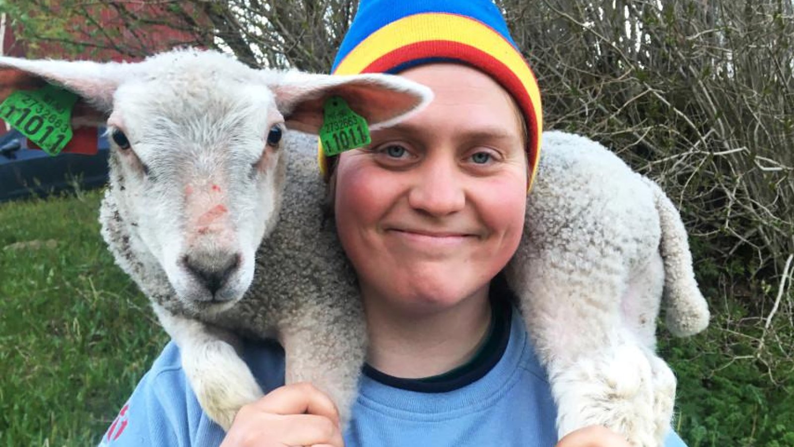 Woolly – Schaf Dir das Glück