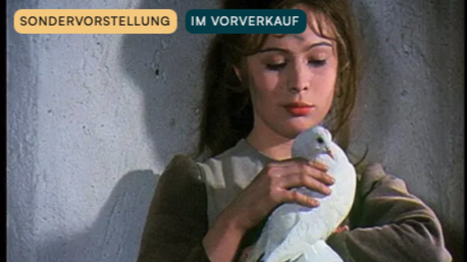 Drei Haselnüsse für Aschenbrödel