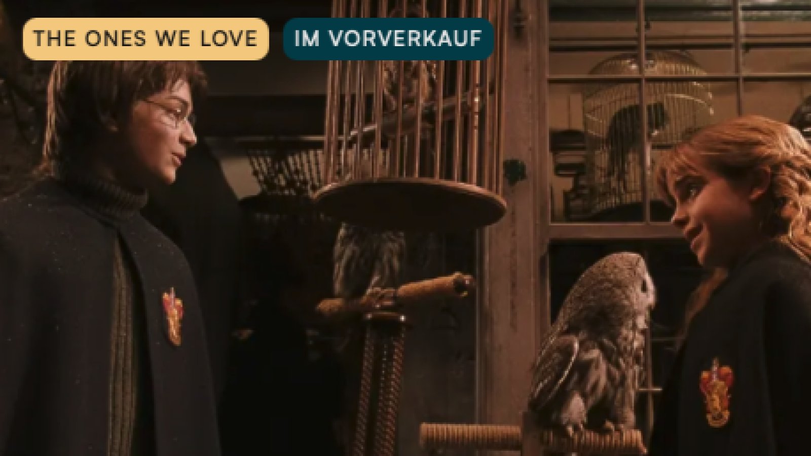 Harry Potter and the chamber of secrets