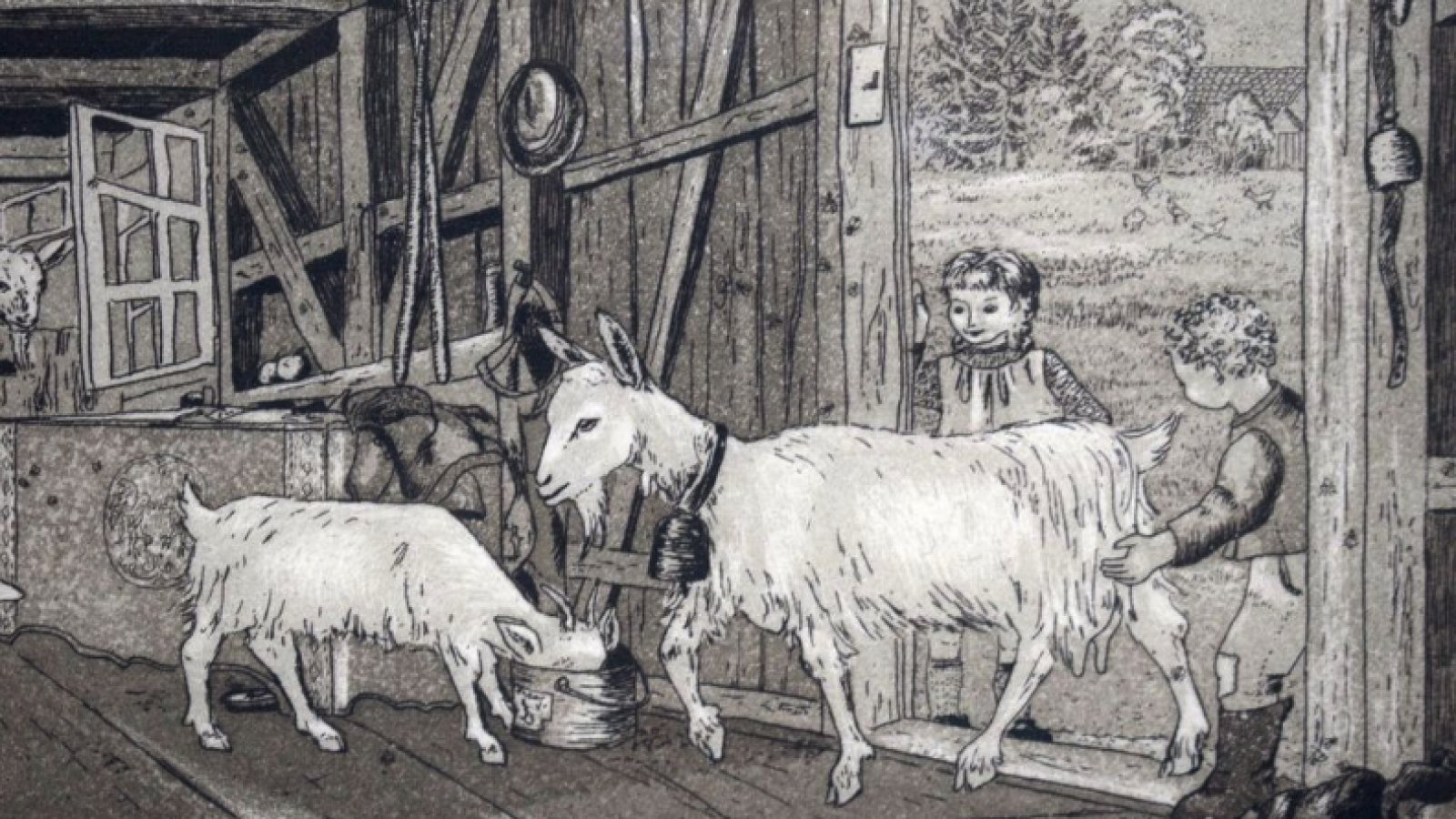 Bilder von Lilly Langenegger