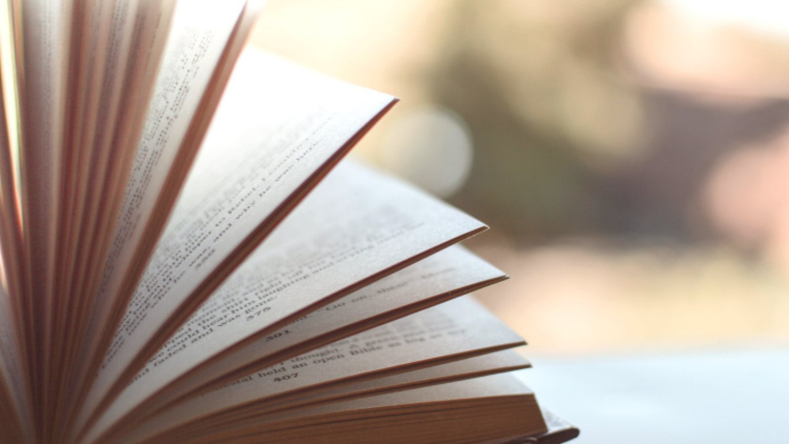 Literaturkreis im Bodmanhaus