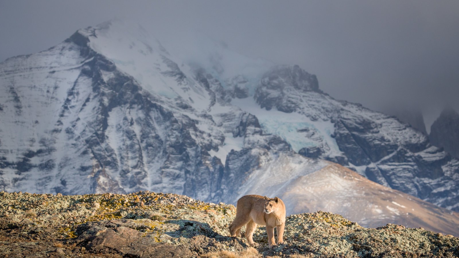 Patagonien - Explora Live Show