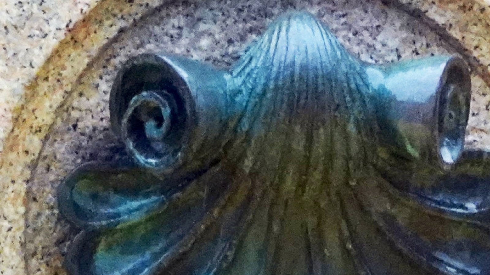Detail vom Jakobsbrunnen in Rorschach