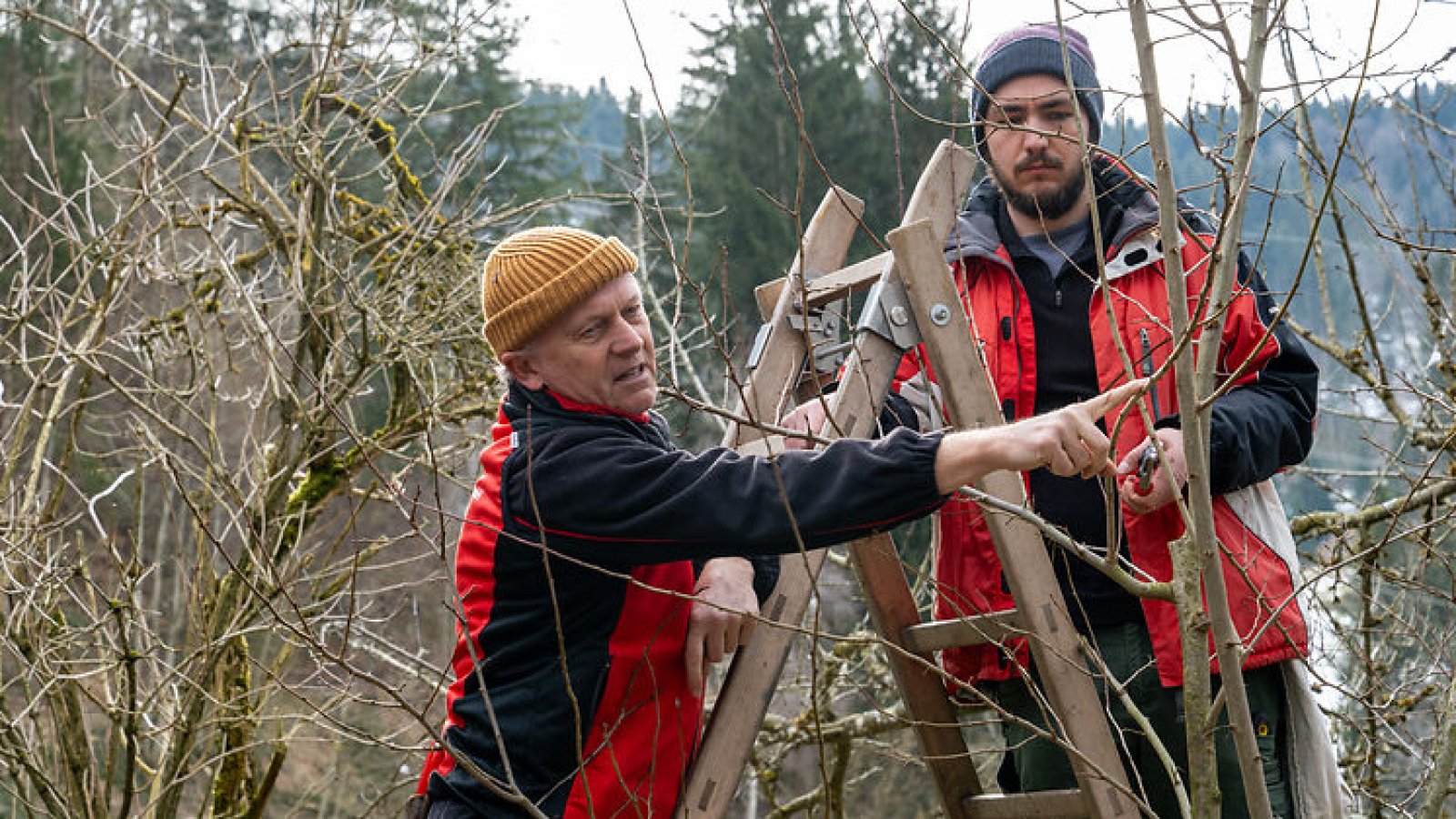 Natur verbindet – Pflegeeinsatz Areal Bach 2