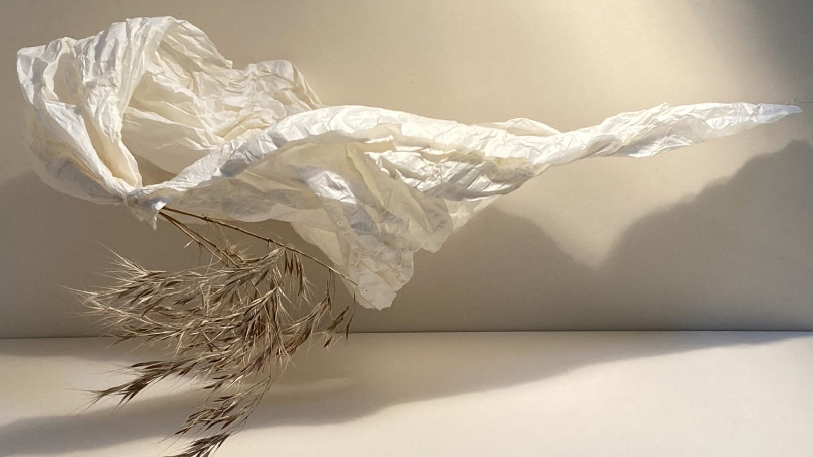 Ruth Zwiener: Jubiläumsausstellung «40 Jahre Kunstschaffen»
