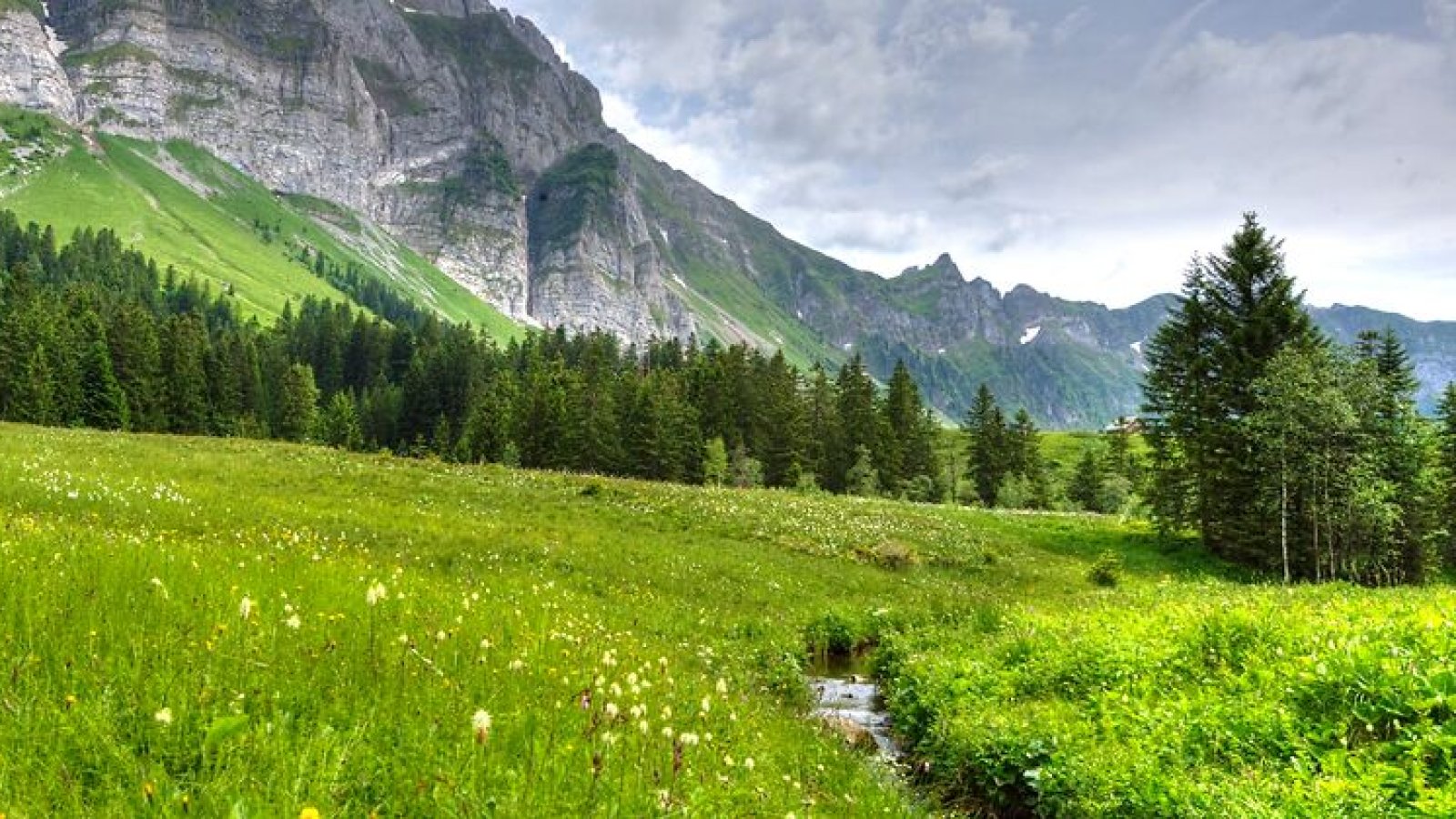 Quellenreise ins Appenzellerland