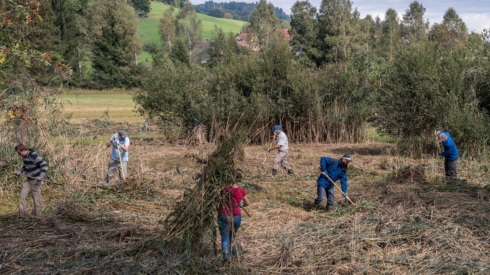 Natur verbindet – Mooreinsatz Breitfeld