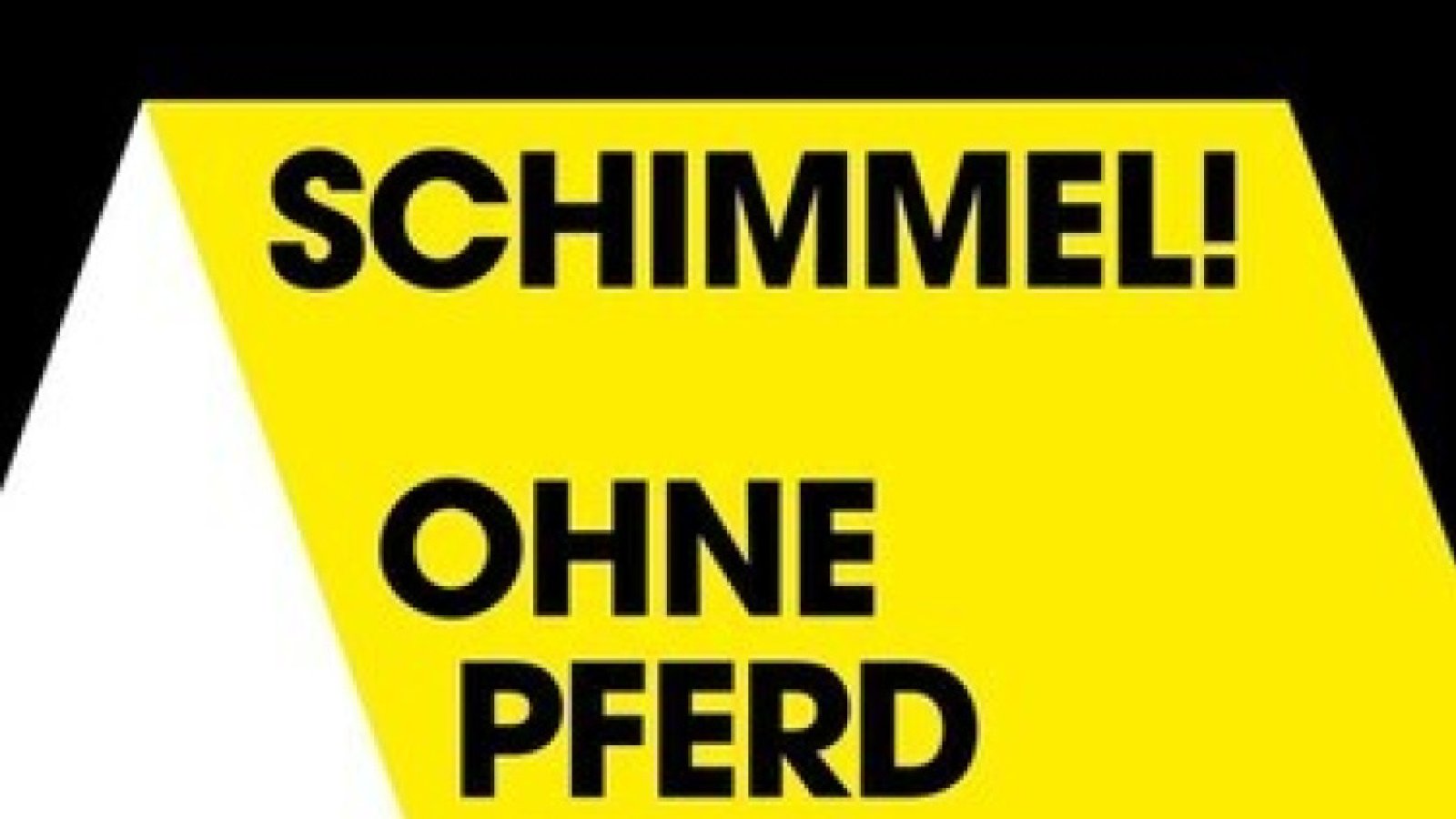 Schimmel! Ohne Pferd und ohne Reiter
