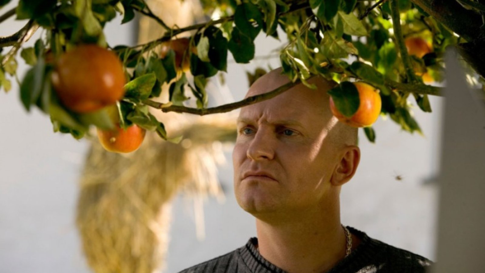Adams Äpfel