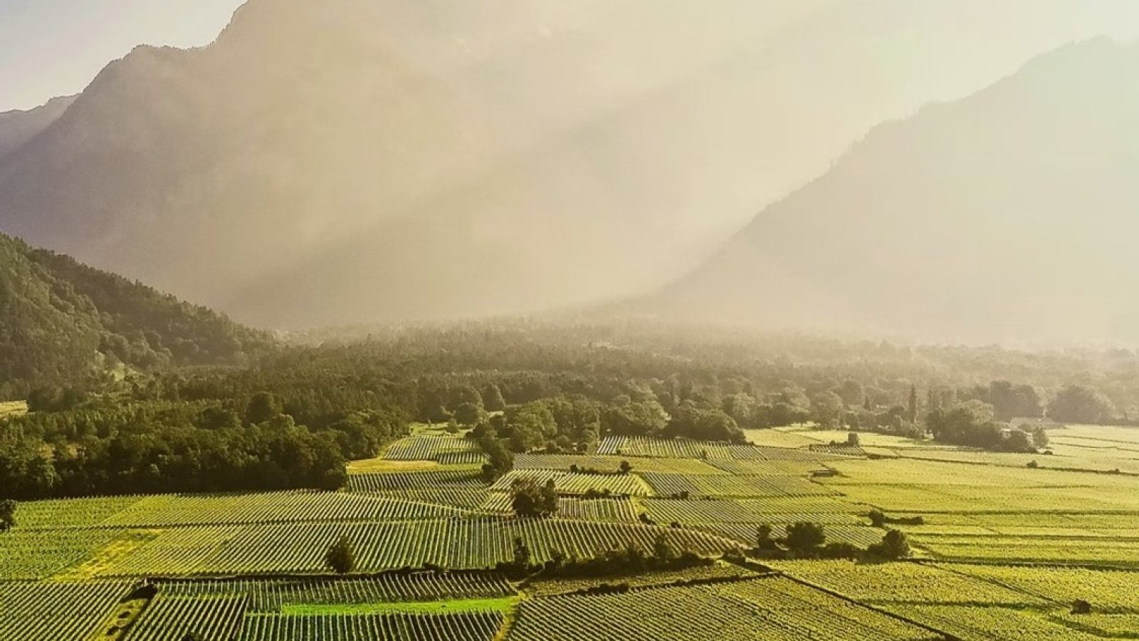 Weinfest Maienfeld