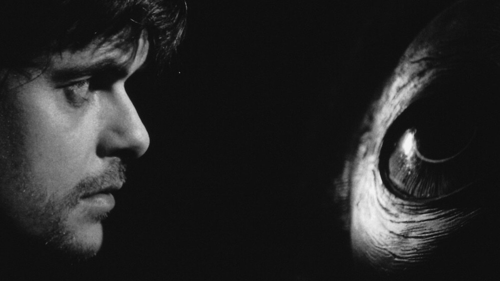 Werckmeister Harmonies