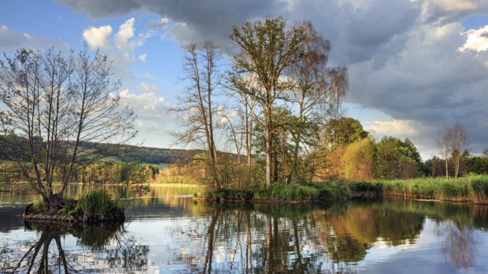 Frühling im Seebachtal TG