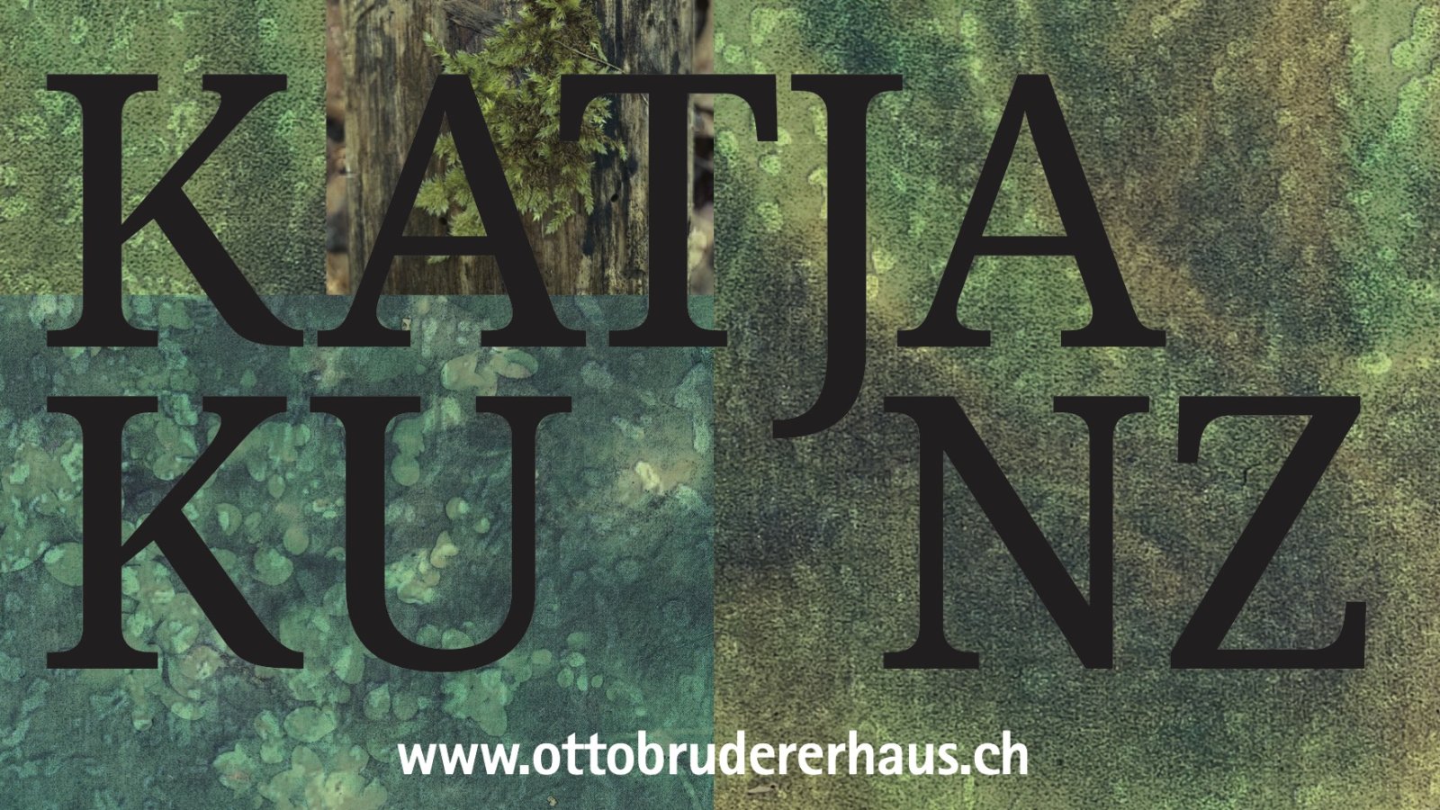Katja Kunz: Vom Grünen