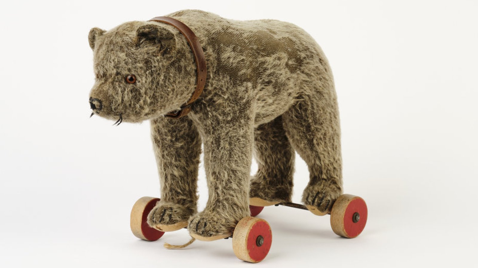 Museumstalk: «Leben & Lassen. Spuren des Menschseins»