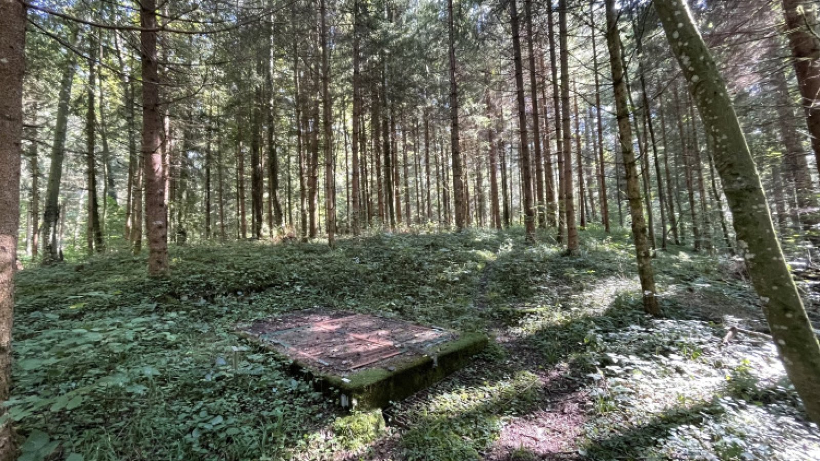 Einstieg in den Bunker