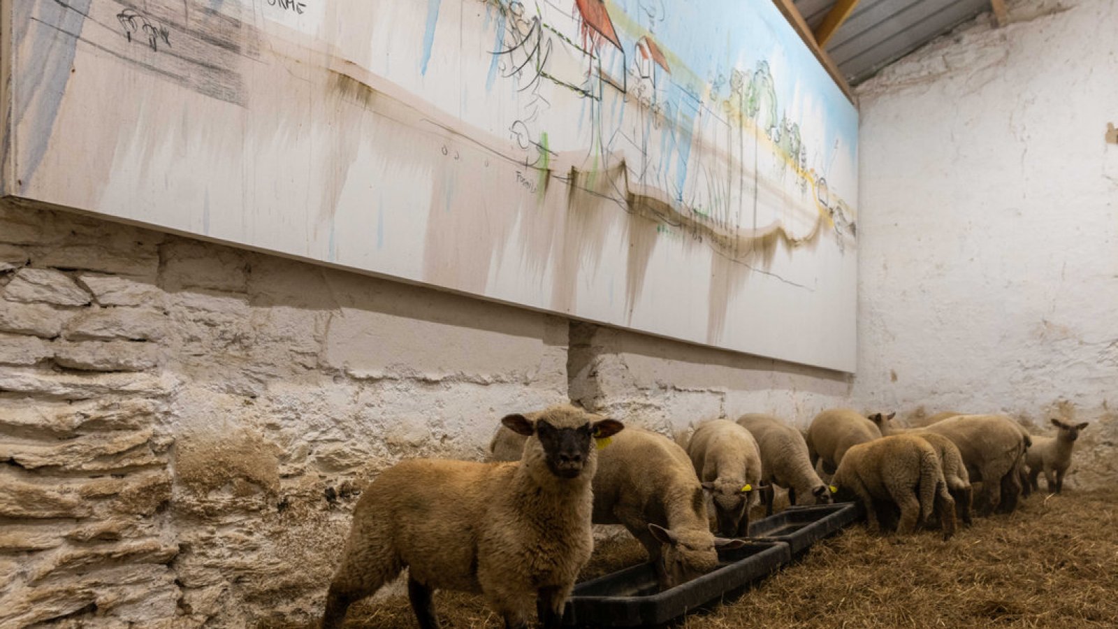 Ausstellungs- und Bauernhofrundgang - Fabrice Hyber – Homme de Terre