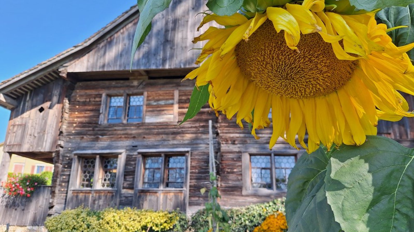 Bäuerliches WohnMuseum
