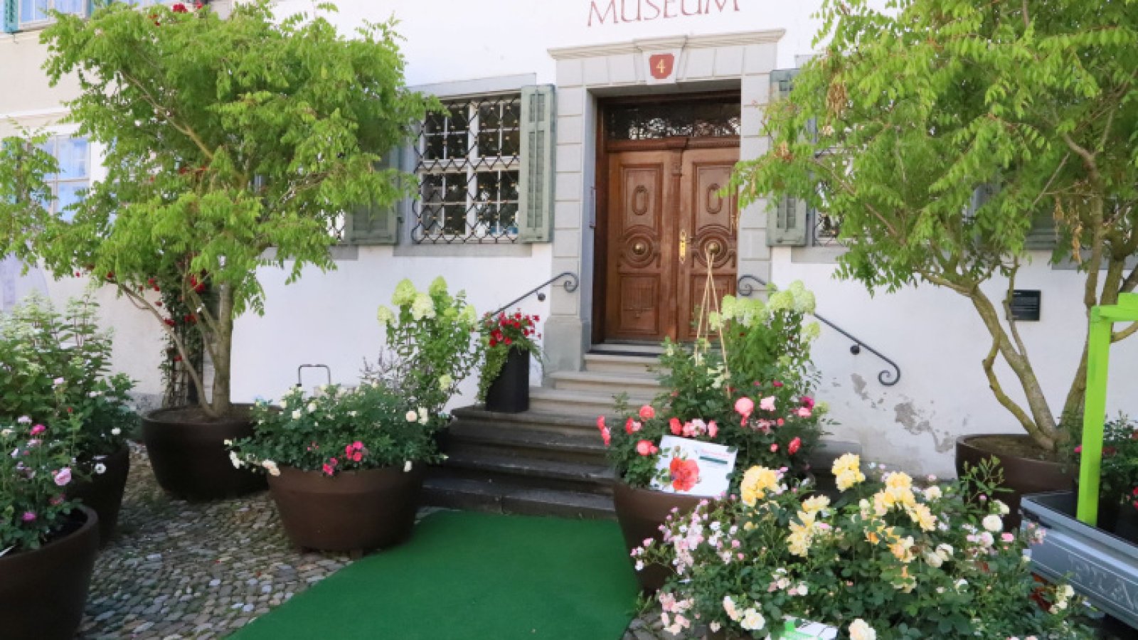 Museum Bischofszell blüht zwischen den Rosen auf