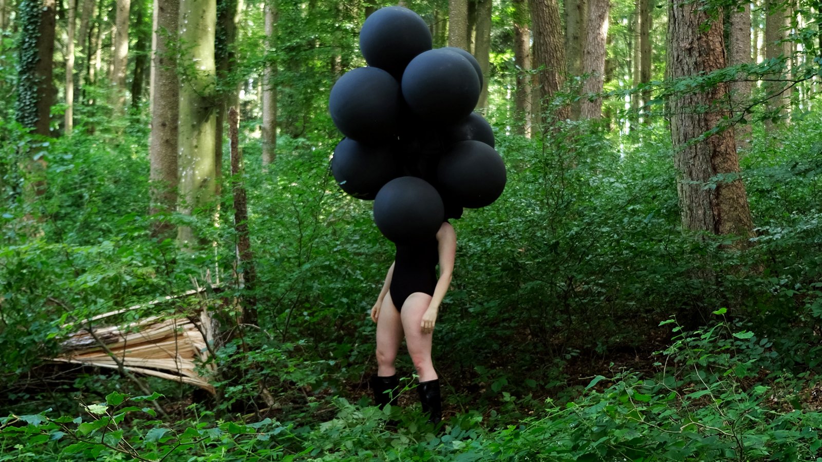 Das Surren trägt Hufe – Soloshow Myriam Gämperli