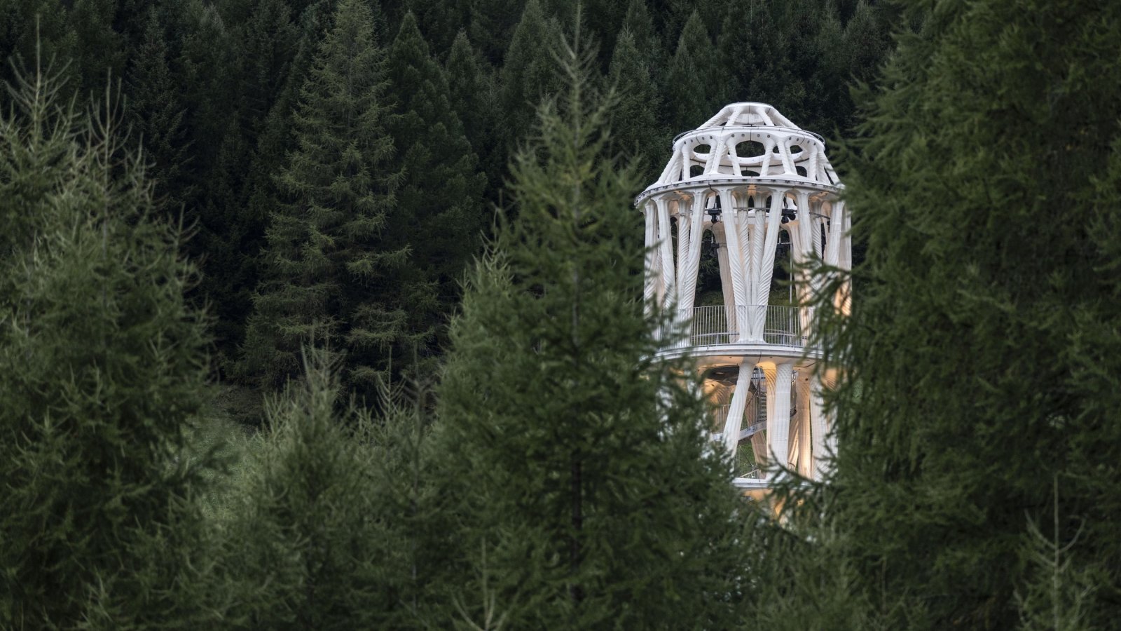 Der weisse Turm - Führung