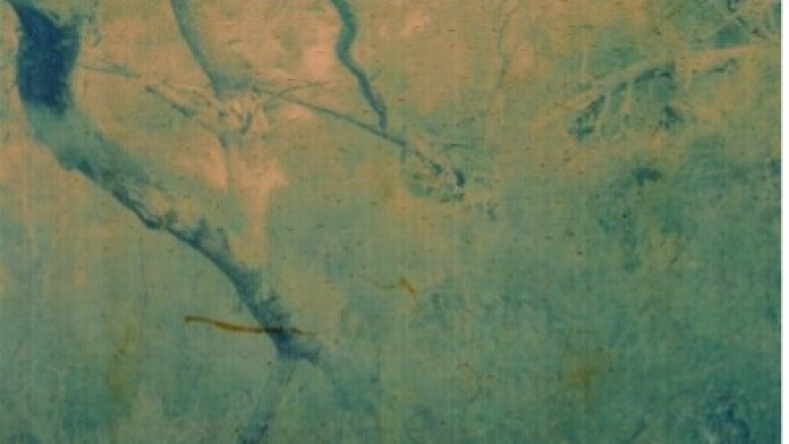 Kunst und Kompost: Der Garten als Labor und Belichtungsobjekt