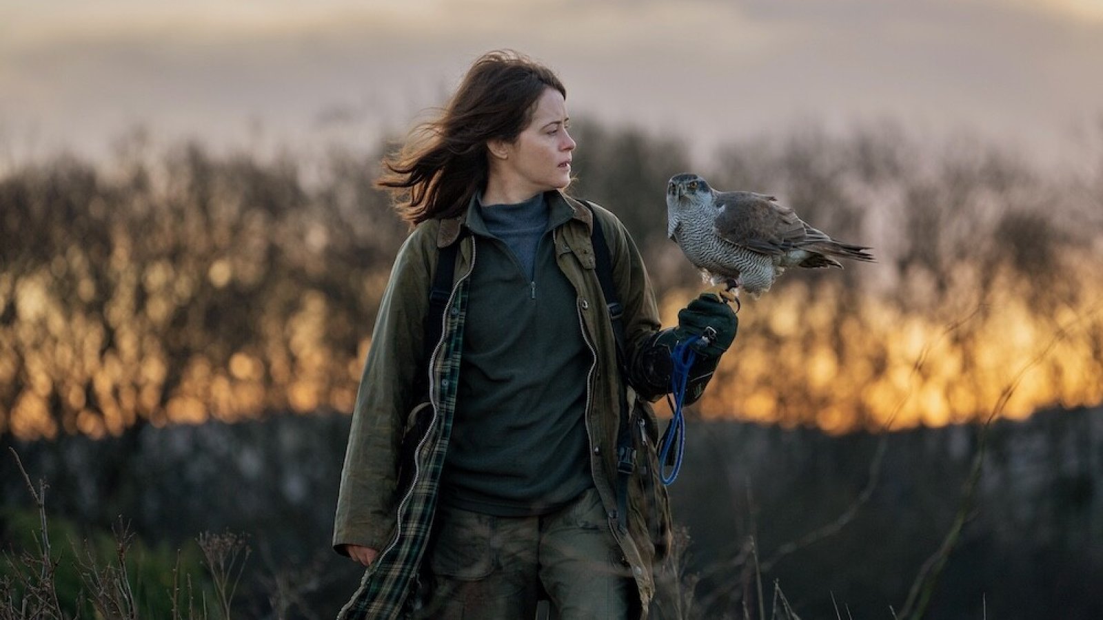 H Is for Hawk