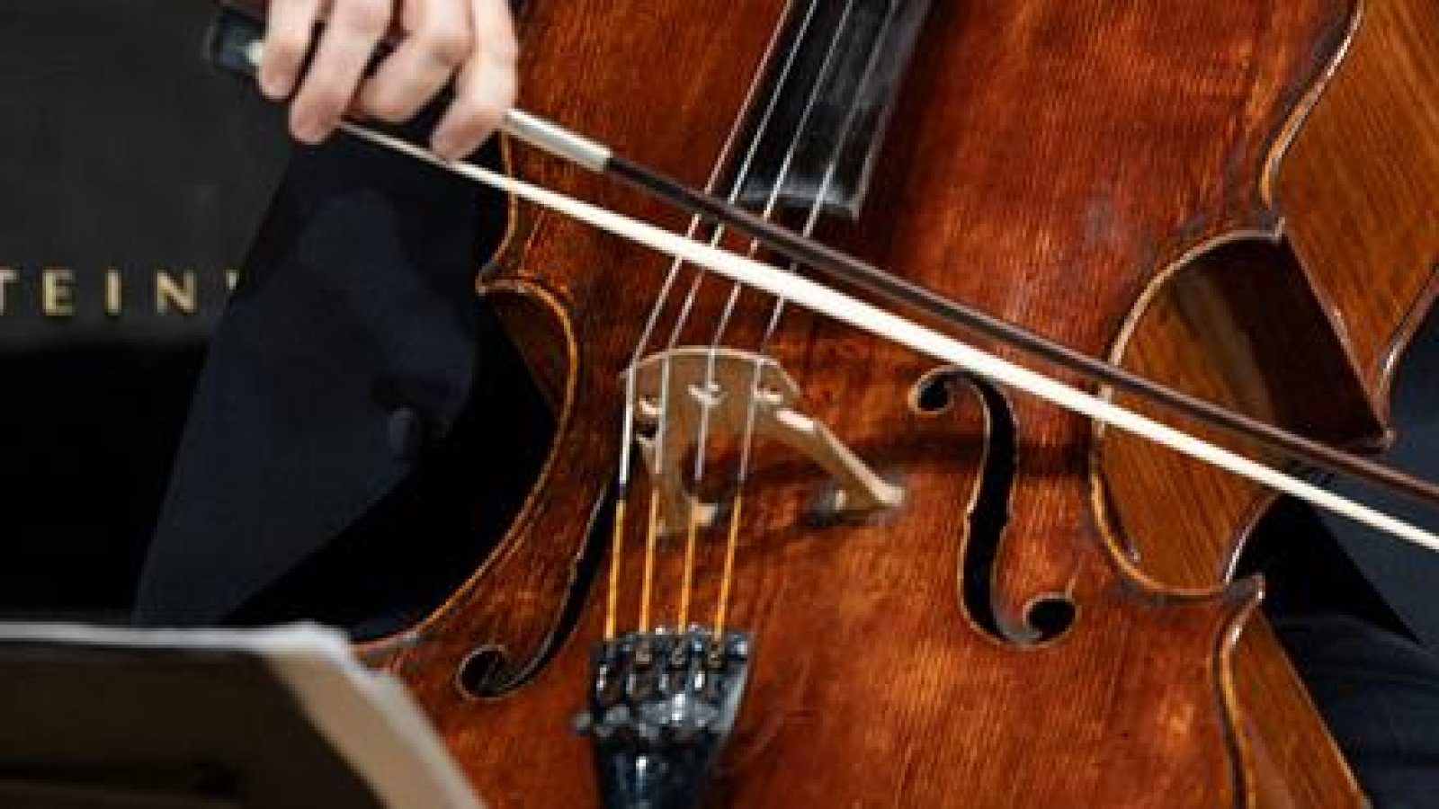 Violoncello im Fokus