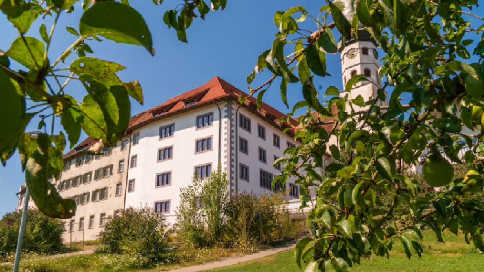 Monastisches Leben im Schatten der Konstanzer Kathedrale‍