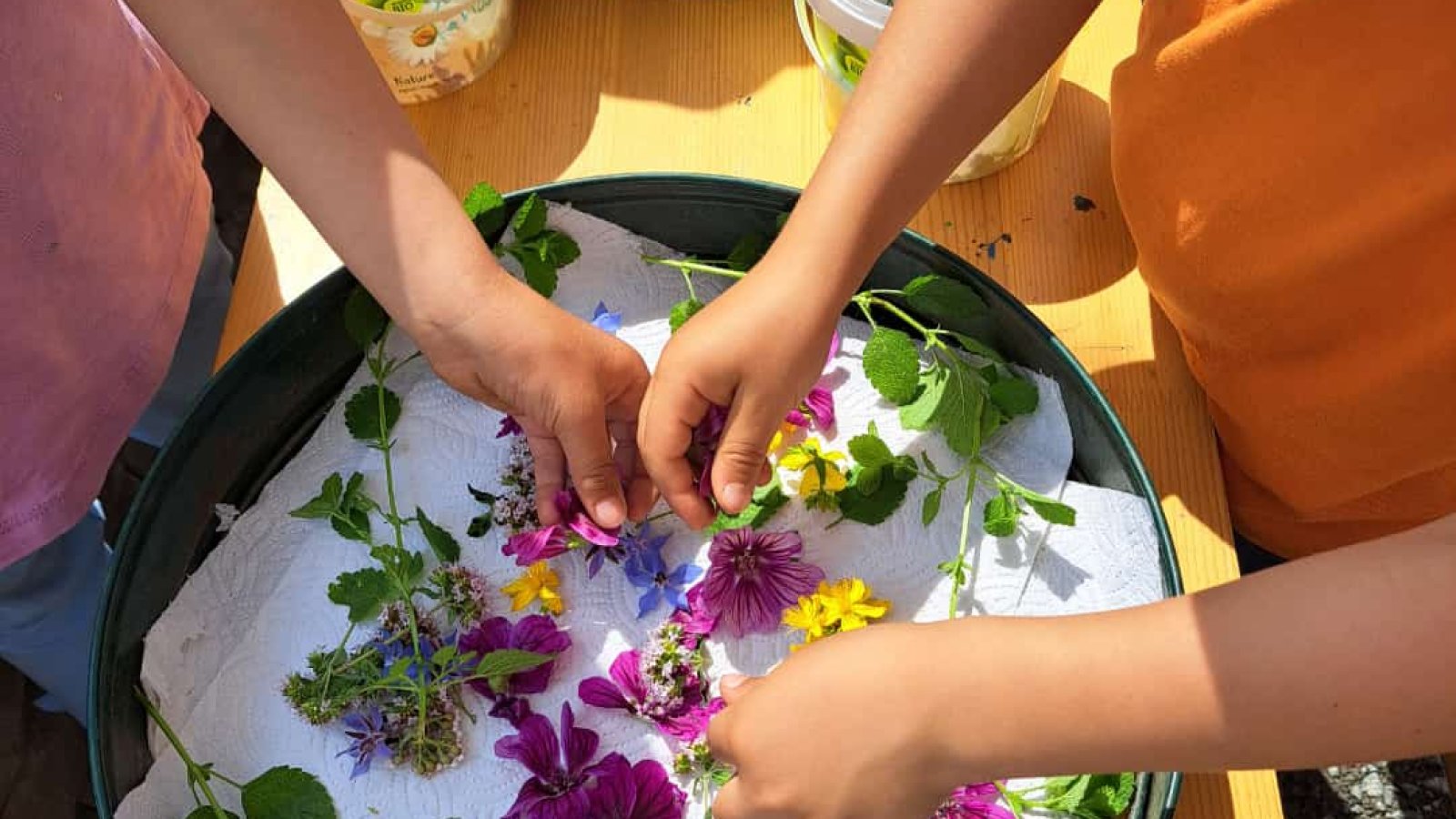 Lavendel und Aubergine im Garten Entdecken