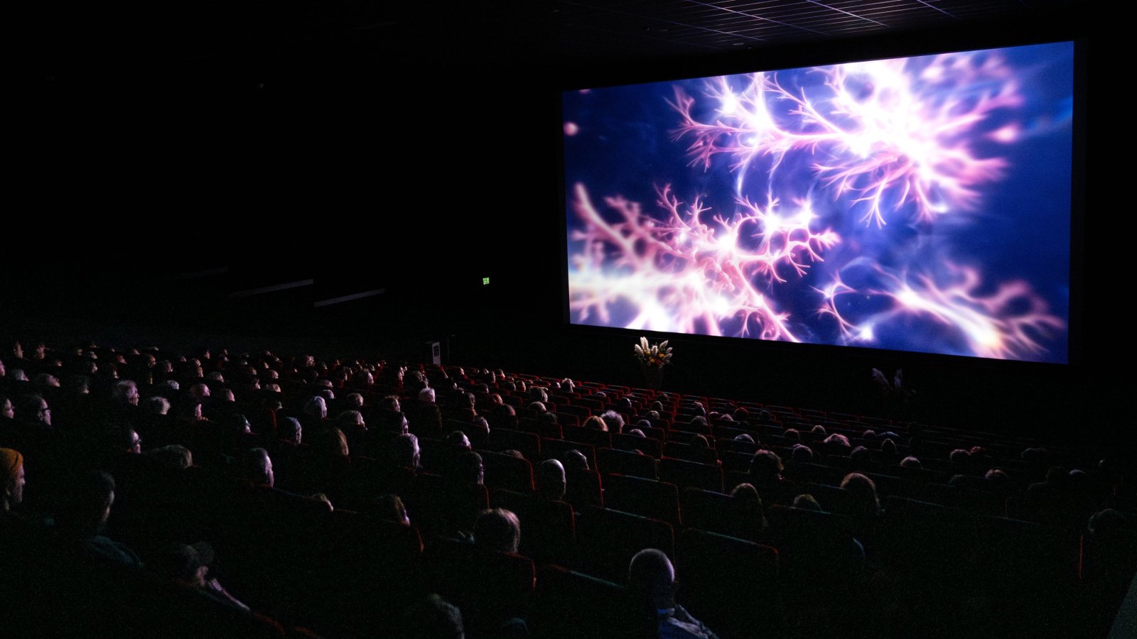 30. Internationale Kurzfilmtage Winterthur - Festival