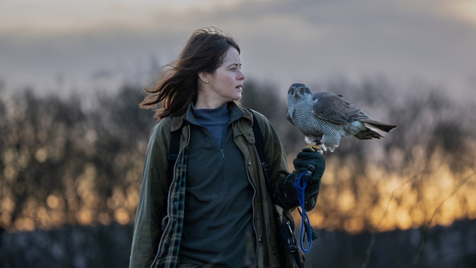 H Is for Hawk