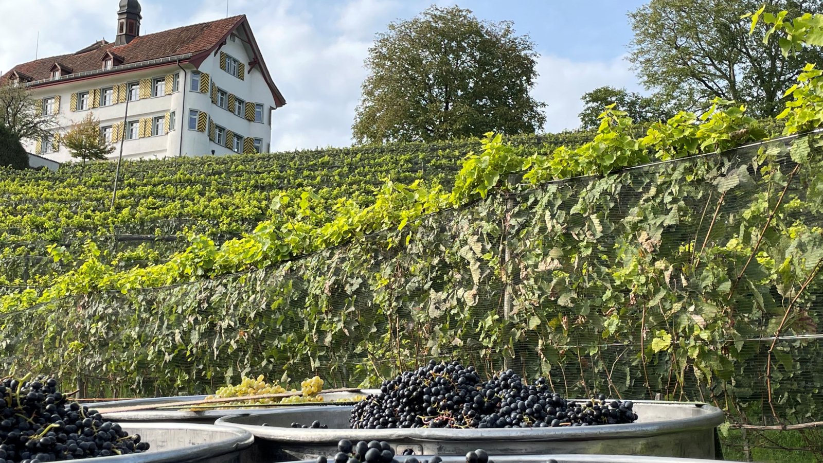 Schlossfest mit den Reblüt