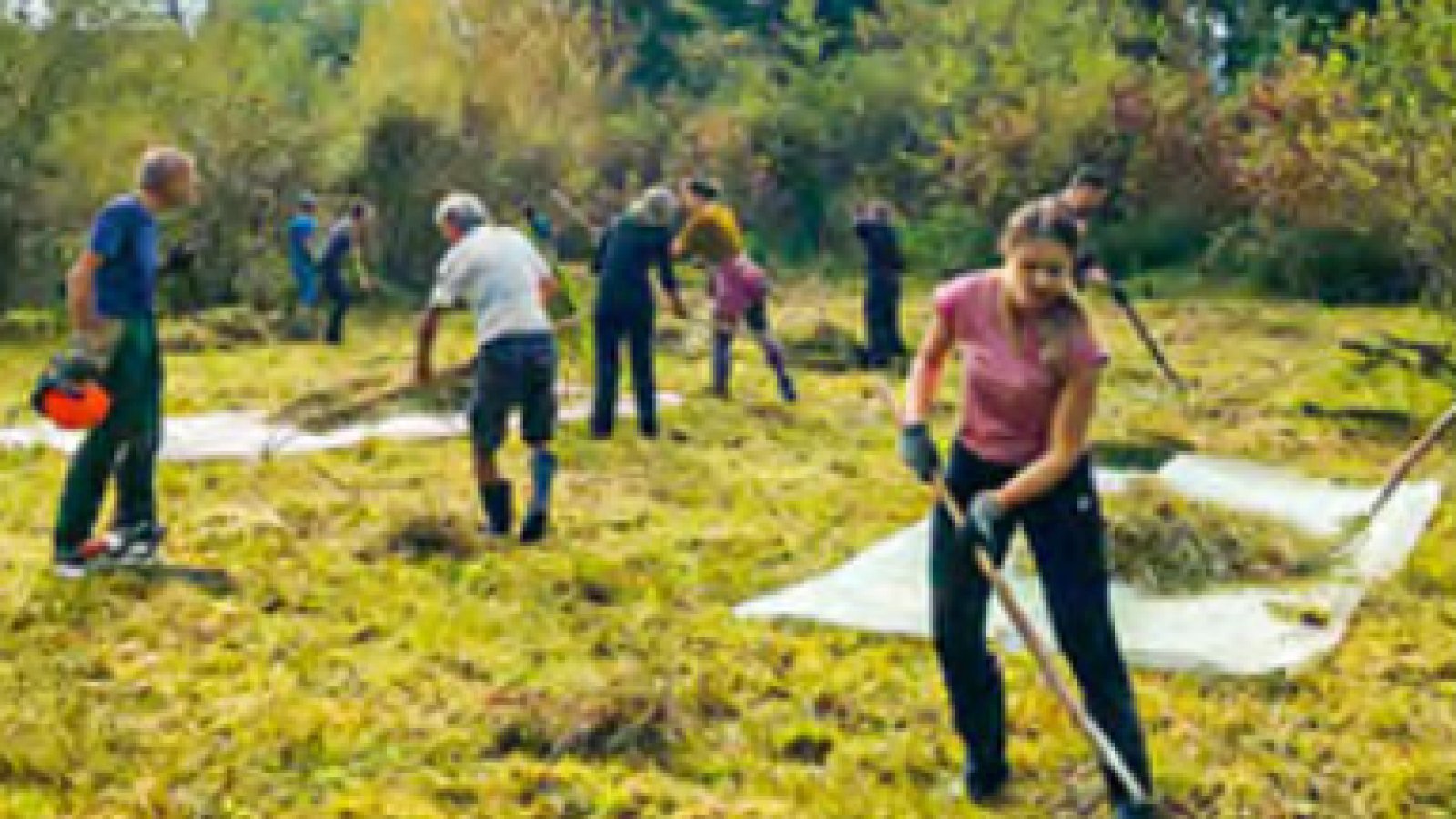 Arbeitseinsatz Huebermoos