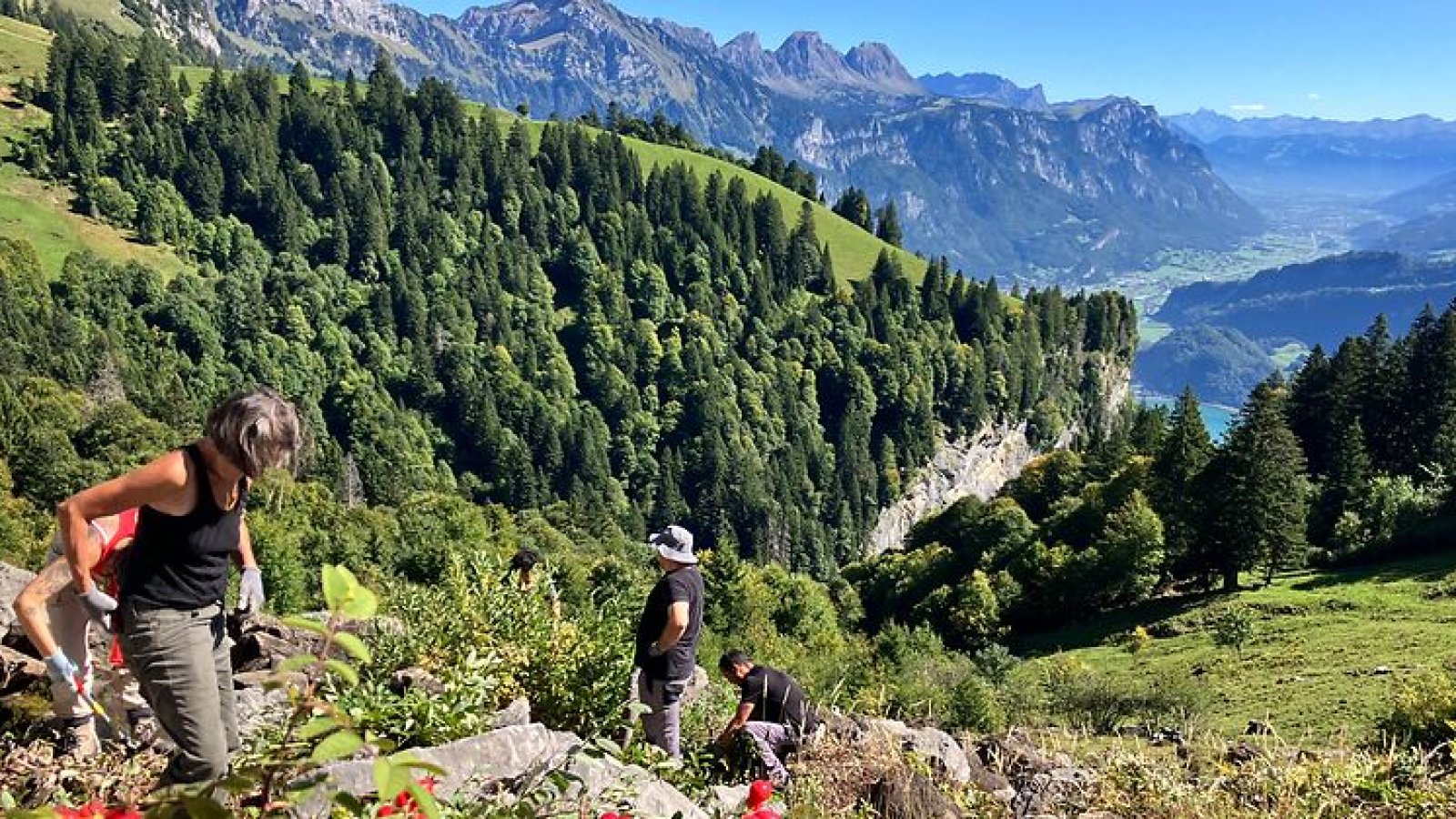 Natur verbindet - Alp Säls