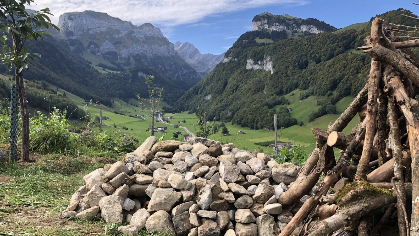 Natur verbindet – Artenvielfalt im Kräutergarten