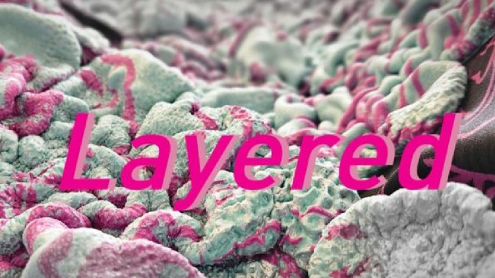 Layered 2026