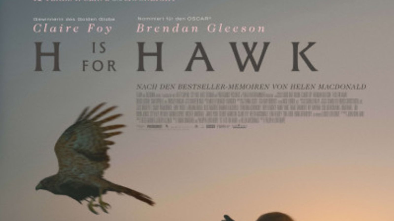 H Is for Hawk