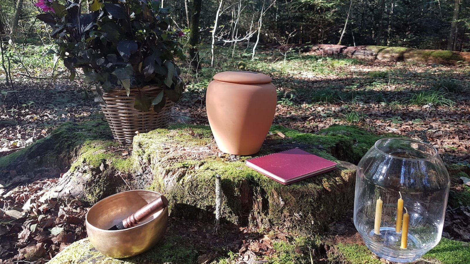 Beisetzung im Wald