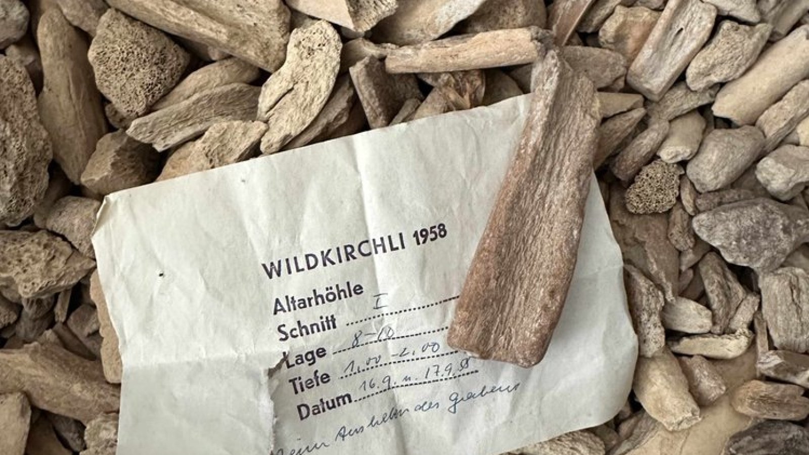 Alte Funde, neue Fragen – aktuelle Steinzeitforschung im Kulturmuseum