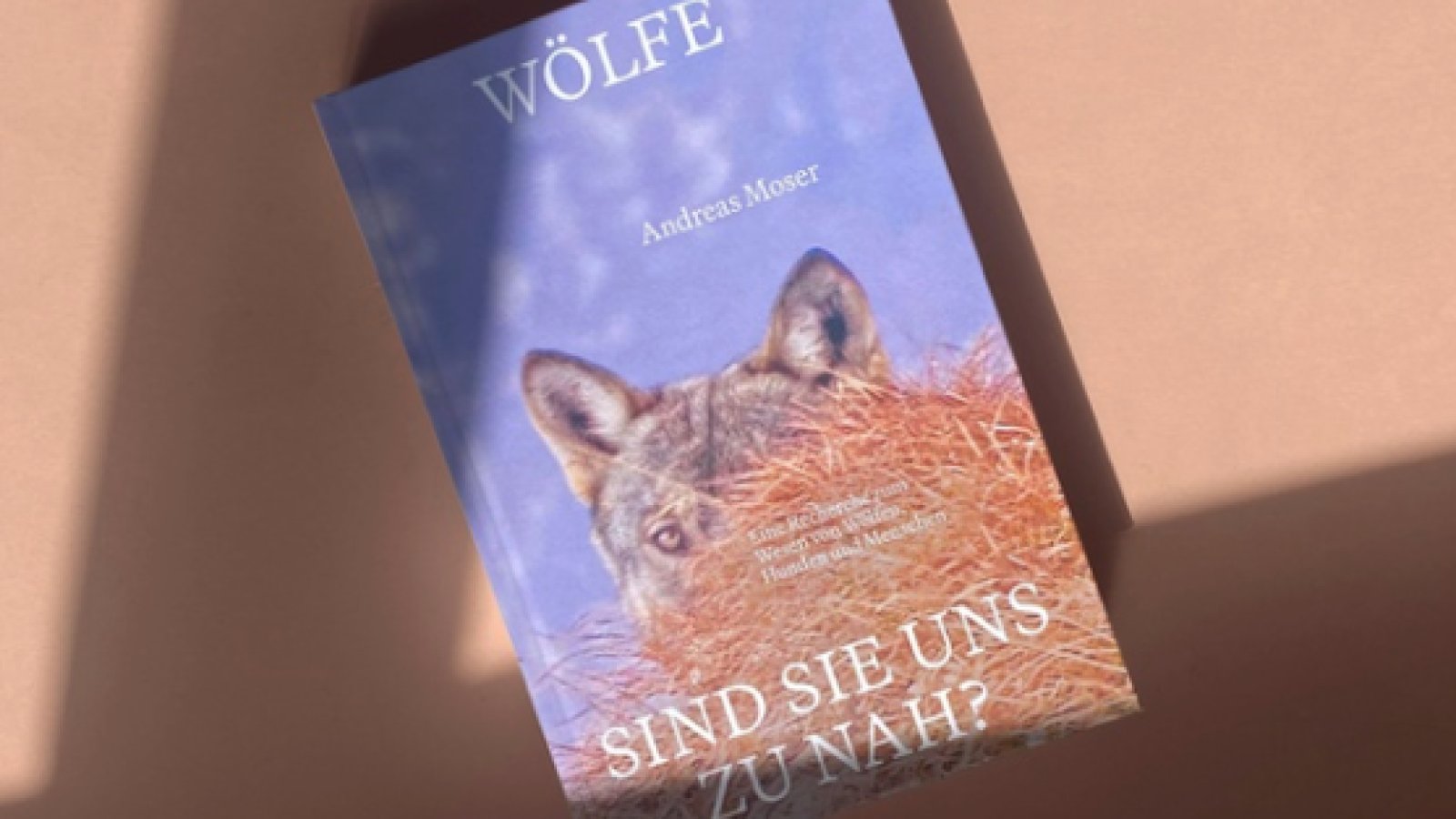 Wölfe - sind sie uns zu nah?
