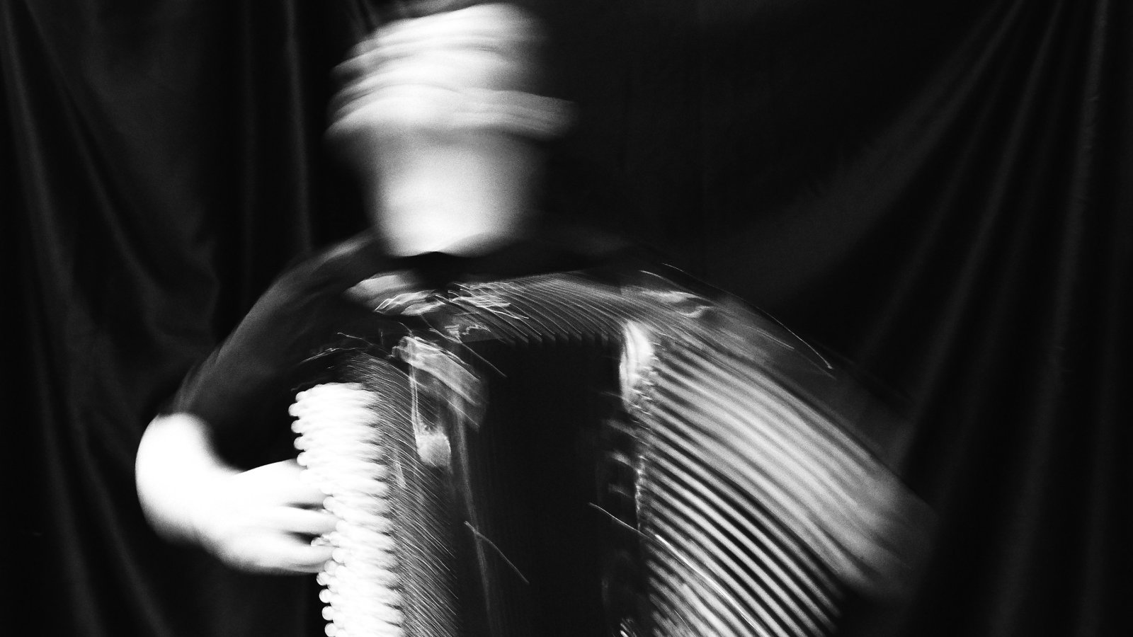 Mario Batkovic - Akkordeon