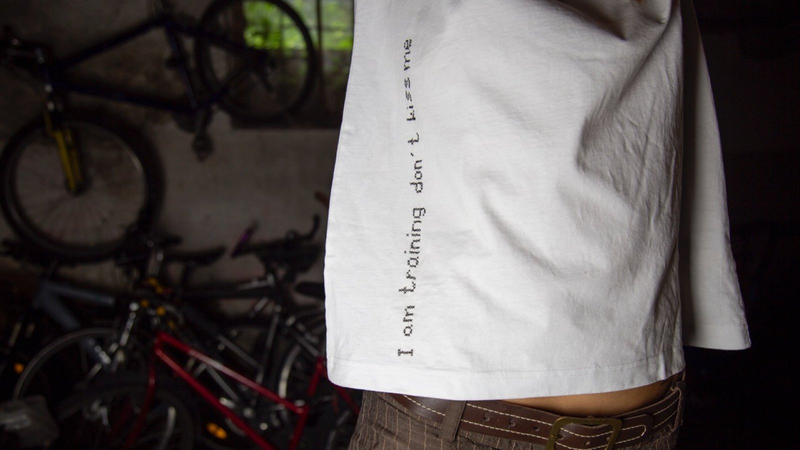 Birgit Widmer - Talking and Silent Shirts (Unikate)